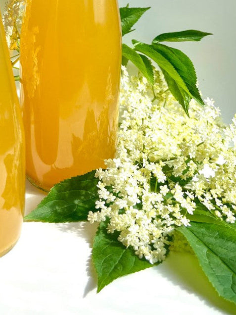Elderflower Splash-Ingredients image -Glam Food Kapiti
